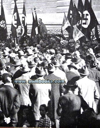 Nazi swastika flags