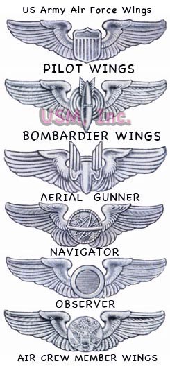 USAAF wings