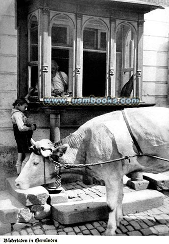 NSDAP Gau Franken photo book