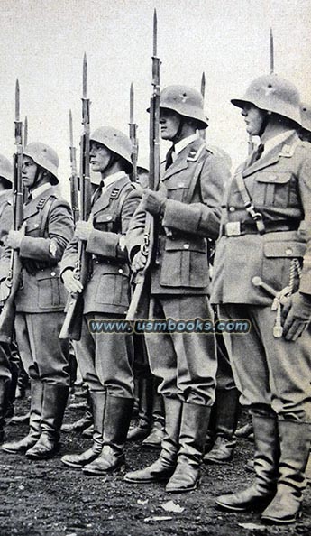 Luftwaffe men at the 1935 Day of the Armed Forces