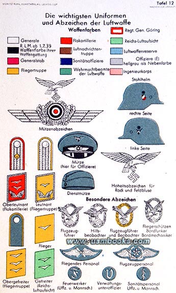 Luftwaffe helmet, Luftwaffe eagle