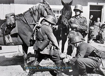 Wehrmacht horses